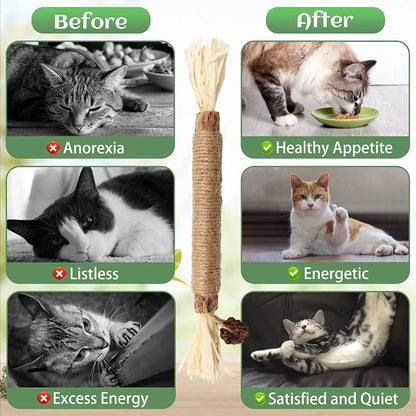 Catnip 4 Pieces Silver Vine Cat Chew Toys Cats Clean Teeth Chews for Stress Relief