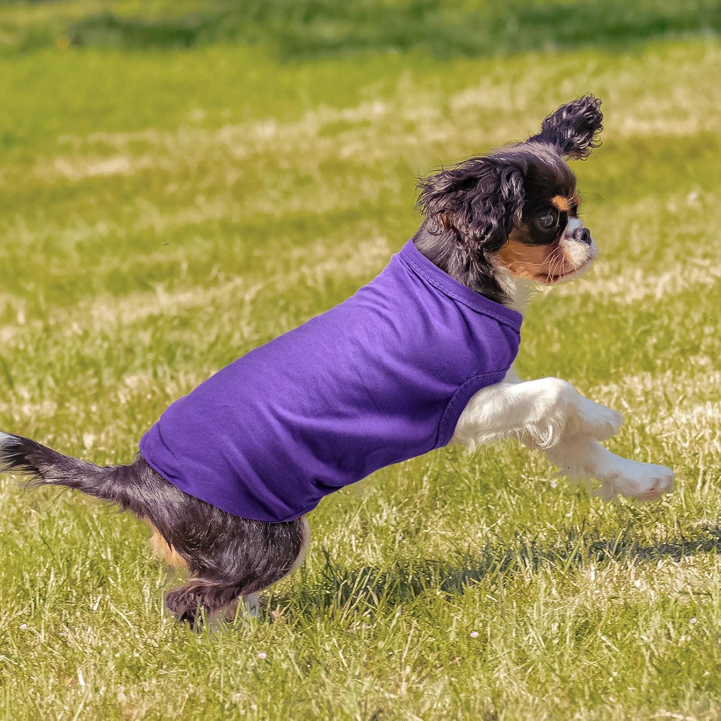 8 Pcs Dog Shirts Pet Puppy Blank Clothes Soft Dog T-Shirt Breathable Plain Summer Fall Winter Male Female Pet Shirts Cotton Puppy Clothes Outfit for Most Cats(S)